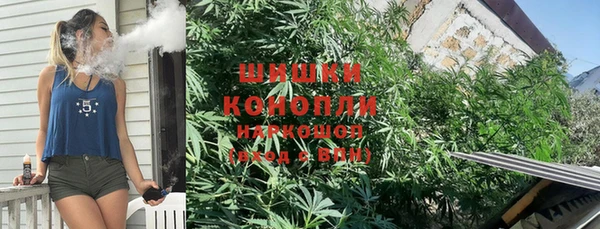 молекула духа Кинешма
