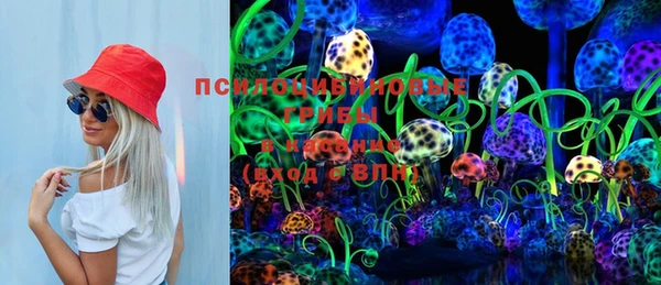 амф Кодинск