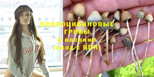 МДМА Козловка