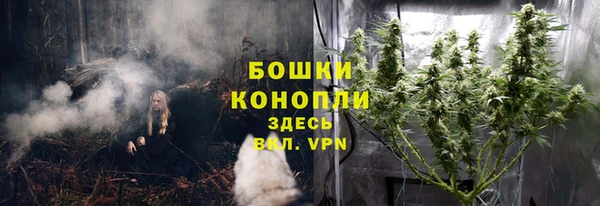амф Кодинск