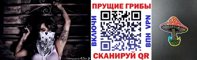 Псилоцибиновые грибы Magic Shrooms  Купить  Красногорск 